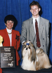 falling shih tzu falling shih tzu biography falling shih tzu falling shih tzu biography